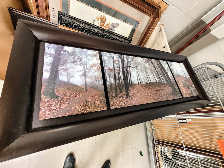 Tree frame from Goodwill